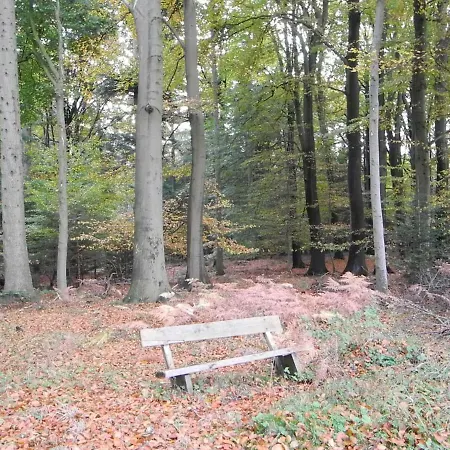 Meyenburg בית נופש *