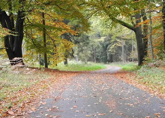 度假居 Meyenburg Schwanewede