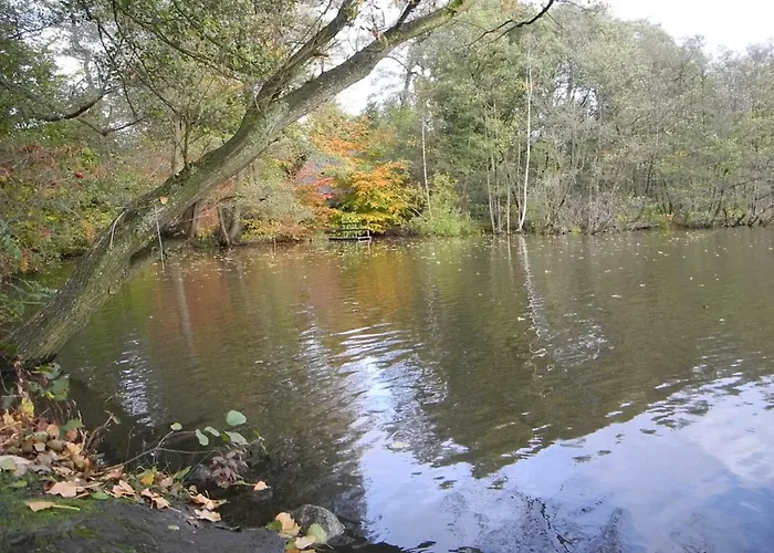 Meyenburg * Schwanewede