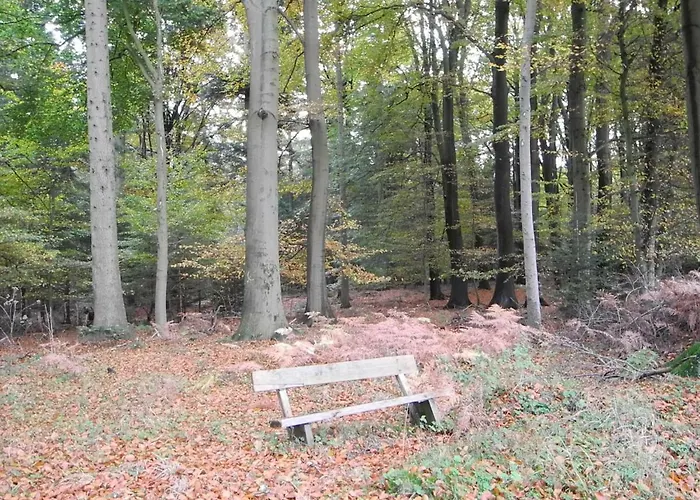 Meyenburg 度假居 *